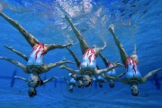 中国女足球员海外踢球热度不断升高，中国女足在外面留洋球员